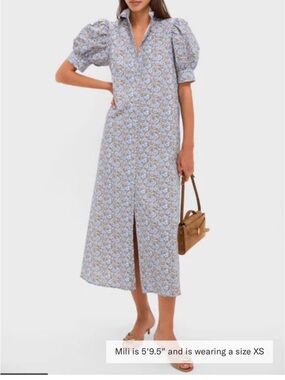 Tuckernuck Dusty Blue & Brown Floral Louisa Maxi Dress - Medium
